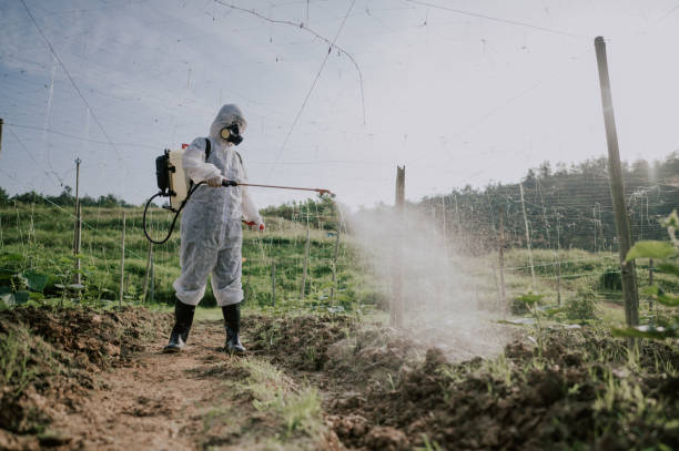 Best Commercial Pest Control Services  in Hanapepe, HI