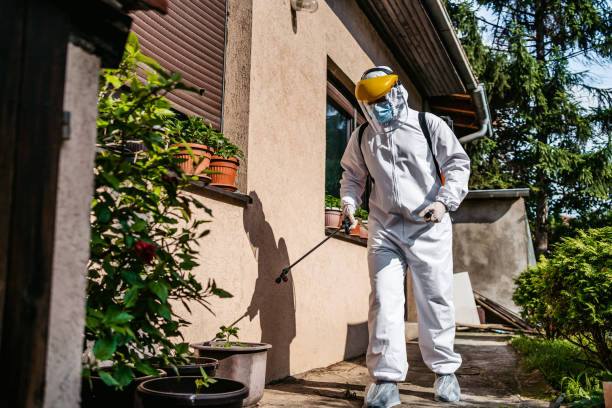Best Ant Control Services  in Hanapepe, HI