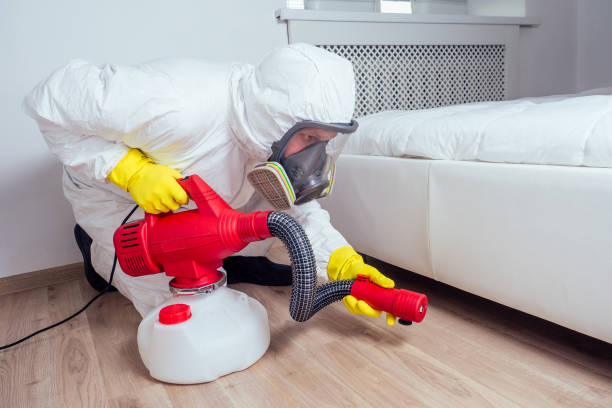 Best Residential Pest Control  in Hanapepe, HI
