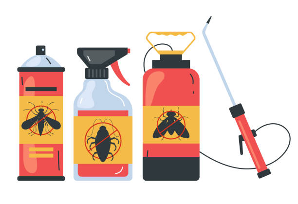 Best Affordable Pest Control Services  in Hanapepe, HI