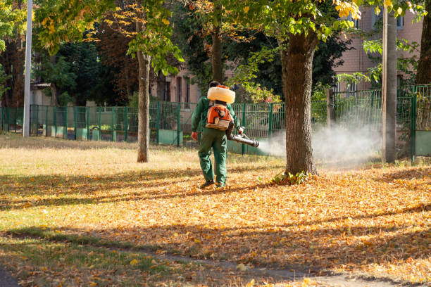 Best Exterminator Services  in Hanapepe, HI