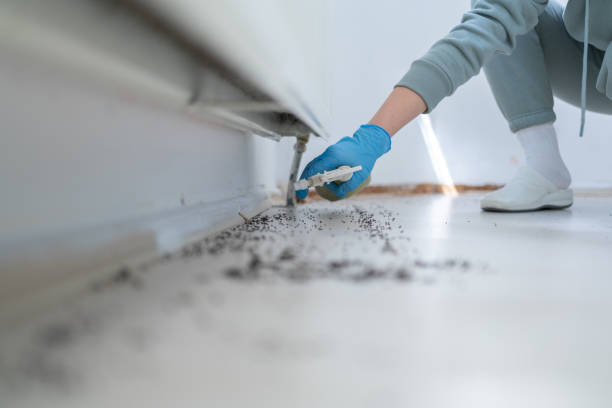 Hanapepe, HI Pest Control Company