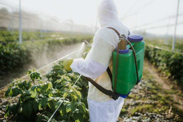 Best Pest Control Cost  in Hanapepe, HI